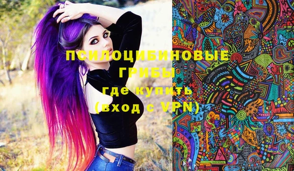 стафф Кинешма
