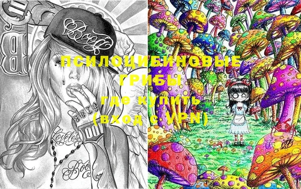 стафф Кинешма