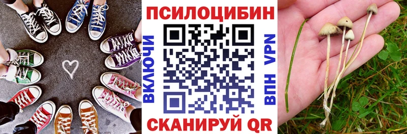 Купить закладки  Полярные Зори  Галлюциногенные грибы Cubensis 